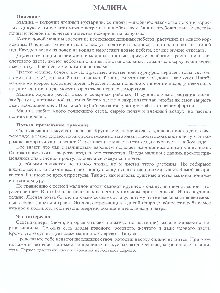 Обложка книги Дидактический материал "Садовые ягоды", Автор , издательство Страна фантазий | купить в книжном магазине Рослит