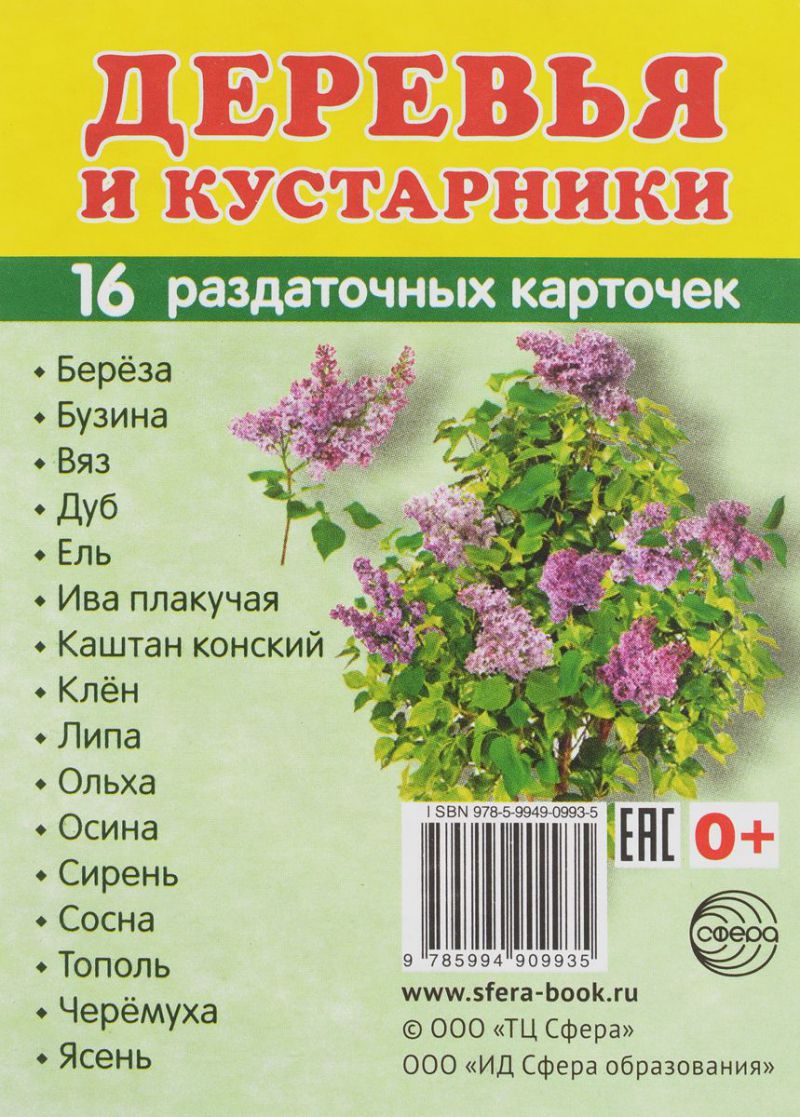 Обложка книги Демонстрационные картинки СУПЕР Деревья и кустарники.16 раздаточных карточек с текстом 63х87 мм, Автор , издательство Сфера | купить в книжном магазине Рослит