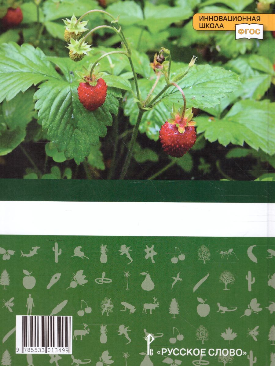 Обложка книги Биология 5 класс. Учебник, Автор Баландин С.А. Ульянова Т.Ю. Романова Н.И. Михай, издательство Русское слово | купить в книжном магазине Рослит