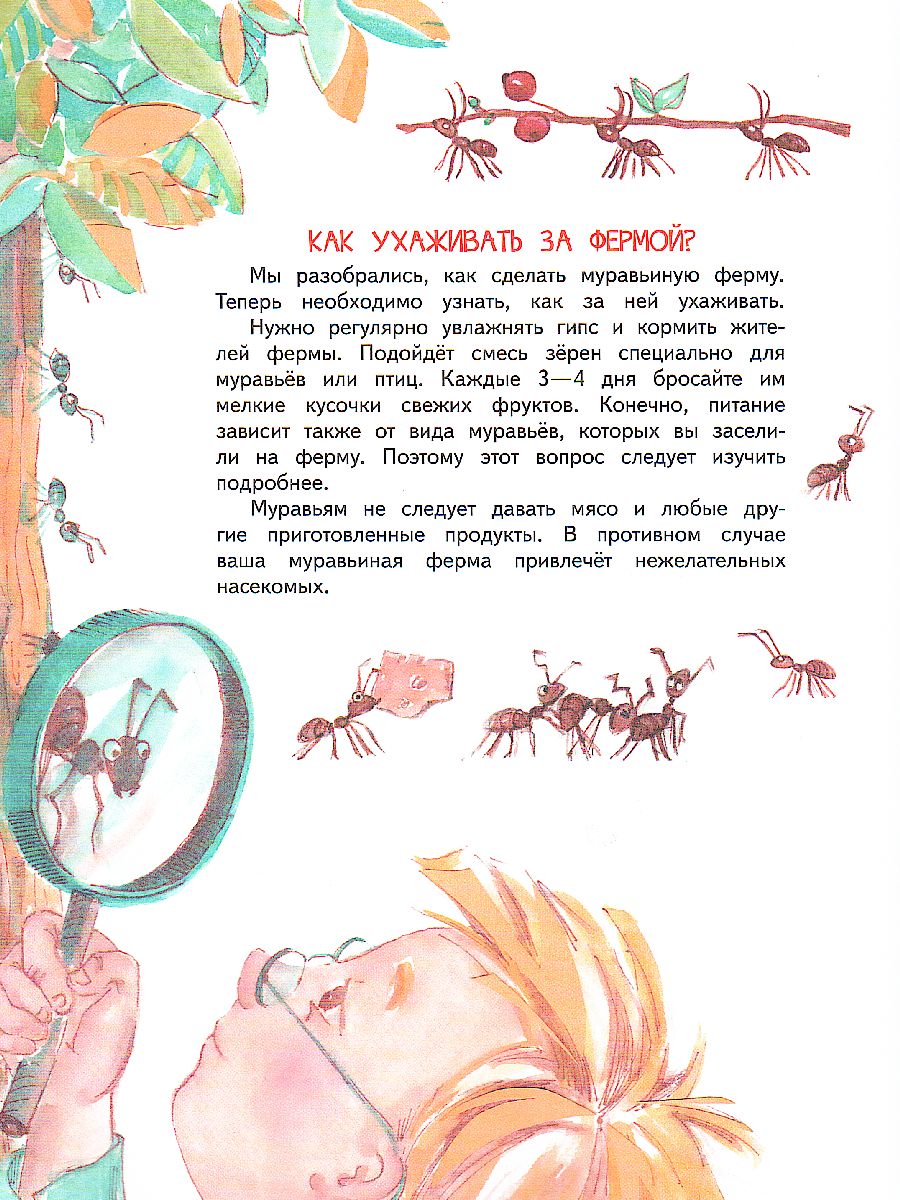 Обложка книги Как это устроено. Чемодан историй, Автор Цезарь Е.А., издательство Вако | купить в книжном магазине Рослит