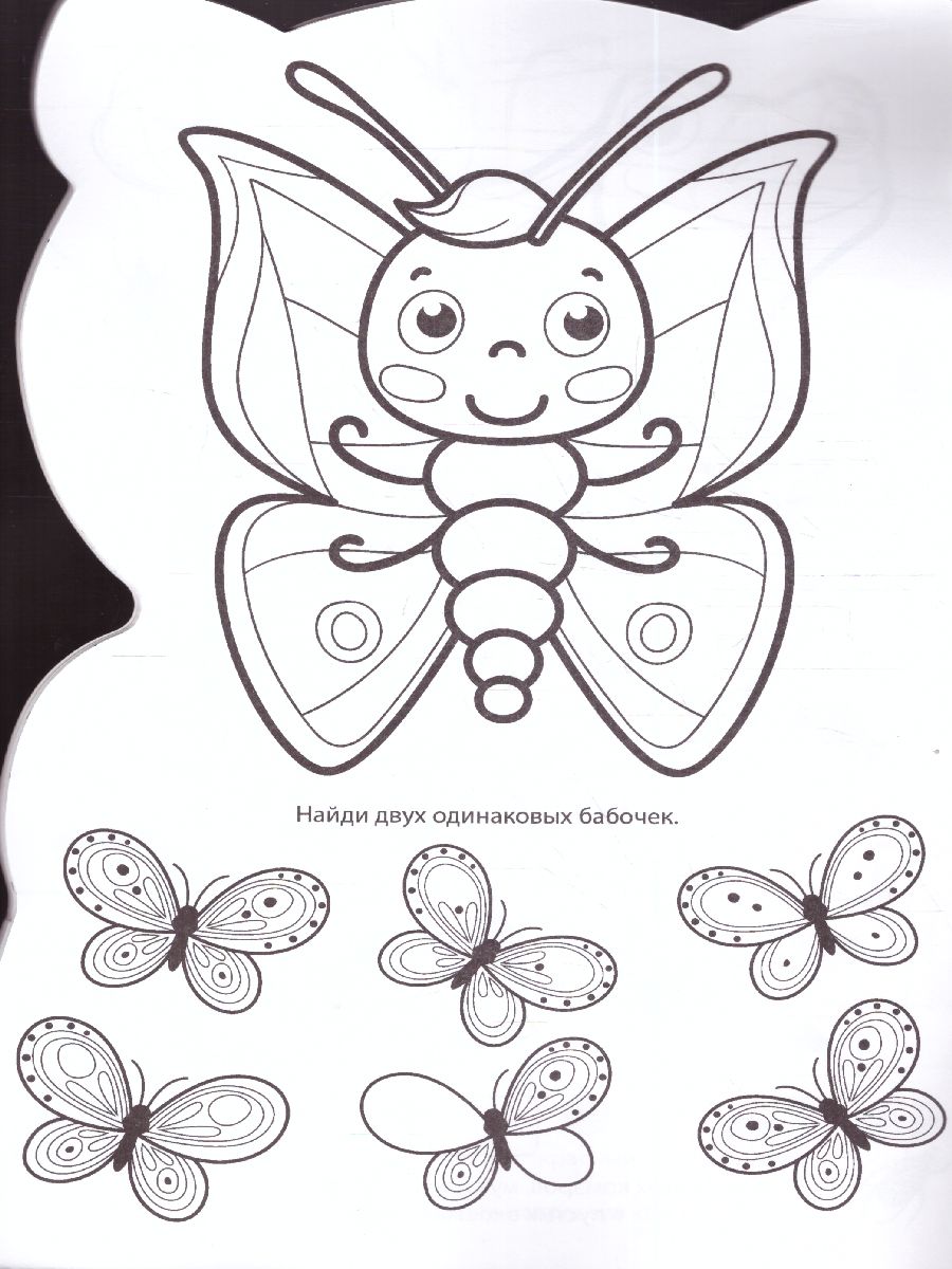 Обложка Котенок IQ Раскраска, издательство Проф-пресс | купить в книжном магазине Рослит