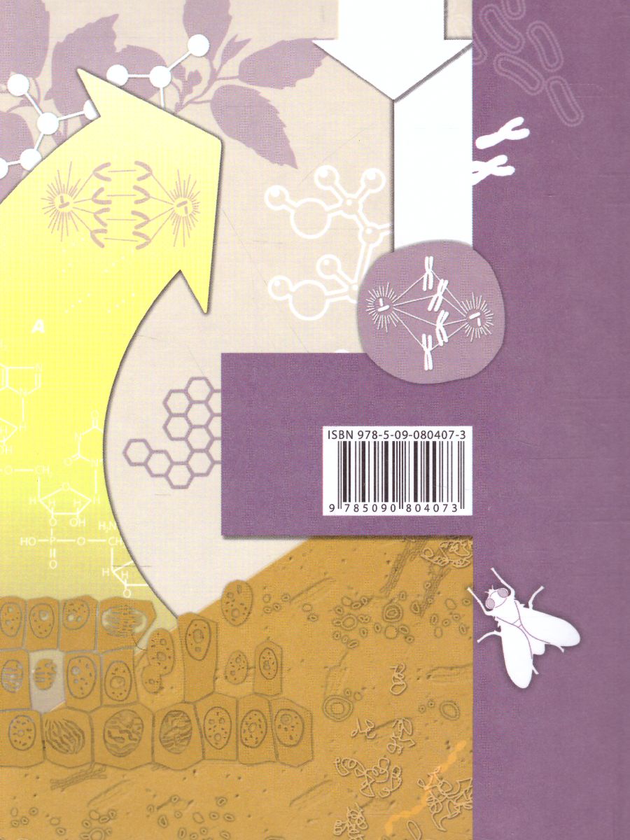 Обложка книги Биология 11 класс. Углубленный уровень. Учебное пособие, Автор Пономарева И.Н. Корнилова О.А. Симонова Л.В., издательство Просвещение/Союз                                   | купить в книжном магазине Рослит