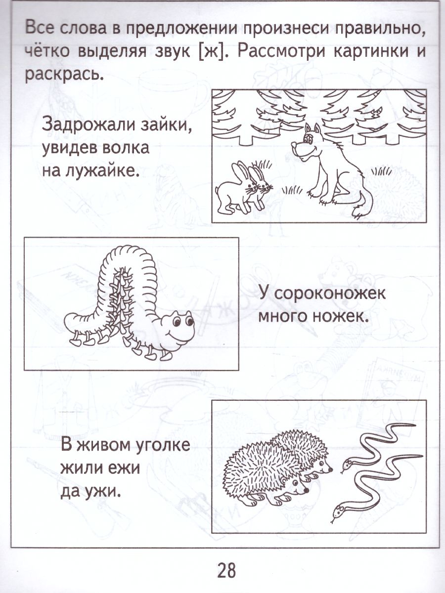 Обложка книги Логопедическая тетрадь на звуки Ш, Ж. Рабочая тетрадь, Автор , издательство Весна-Дизайн | купить в книжном магазине Рослит