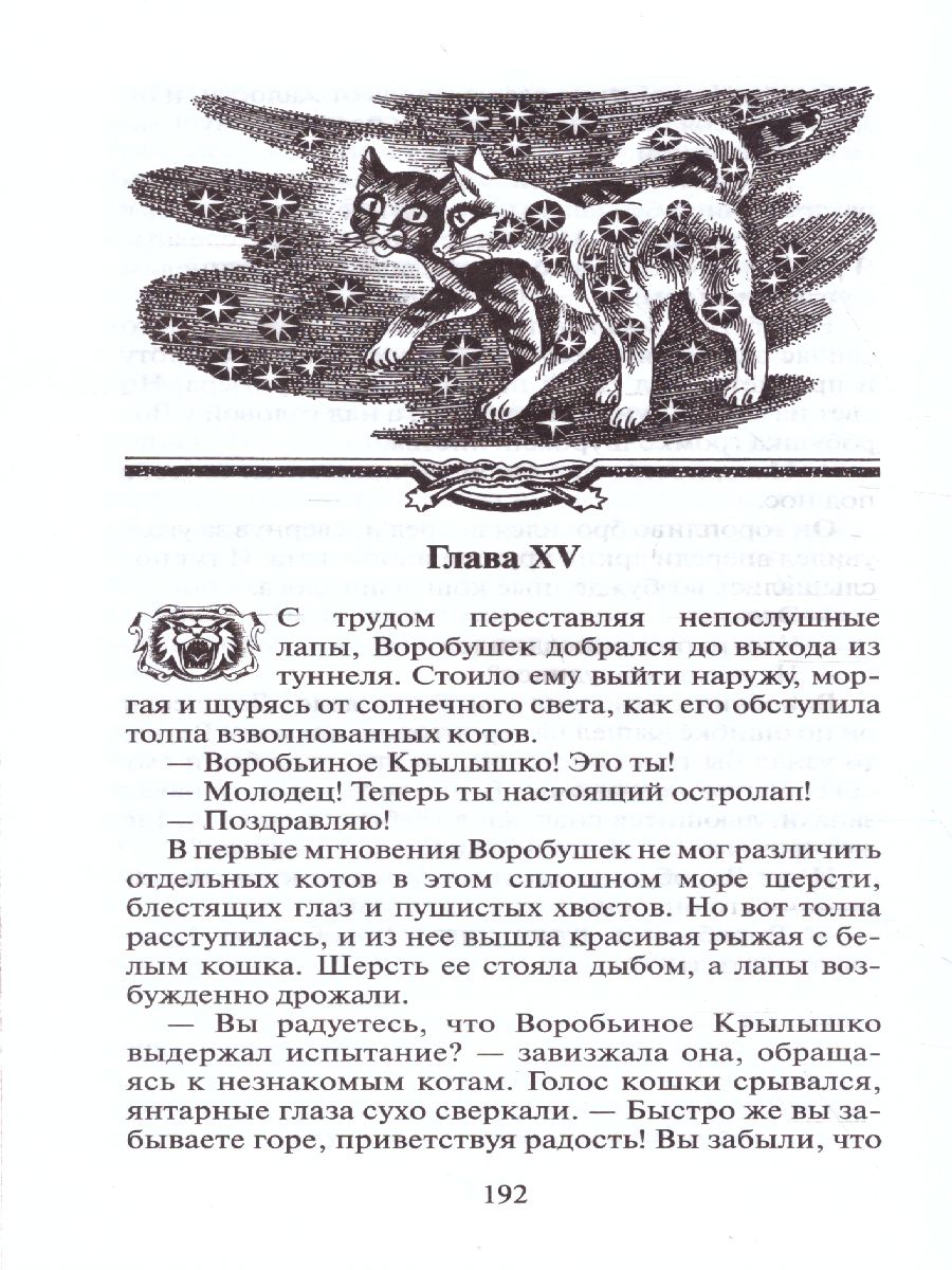 Обложка Длинные тени. Коты-воители, издательство Просвещение/Союз                                   | купить в книжном магазине Рослит
