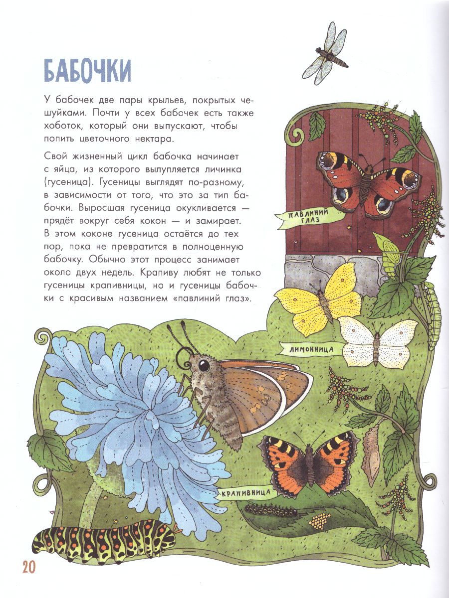 Обложка Насекомы /МояПервКнига, издательство АСТ | купить в книжном магазине Рослит