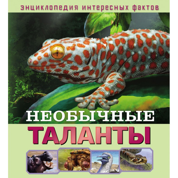 Обложка Энциклопедия интересных фактов Необычные таланты, издательство НД Плэй                                            | купить в книжном магазине Рослит