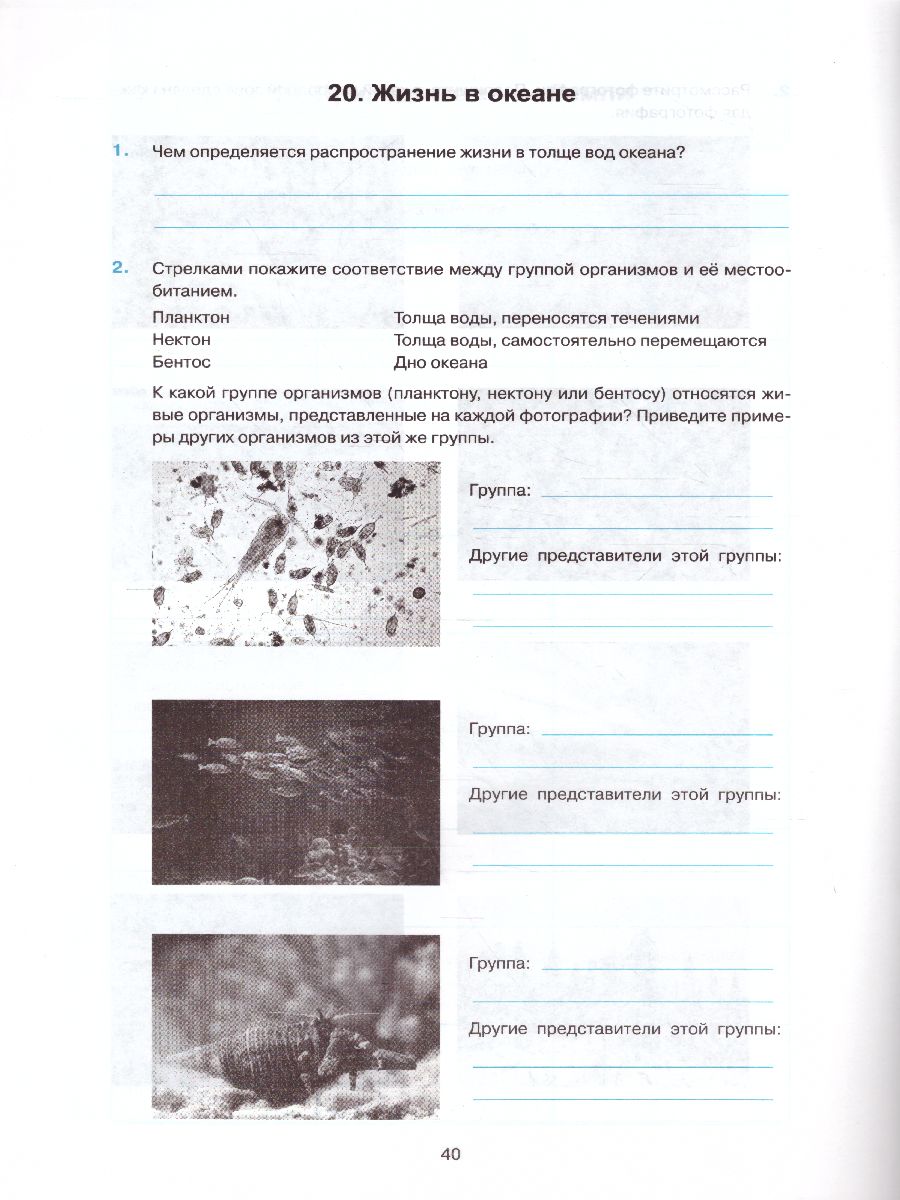 Обложка книги География 6 класс. Рабочая тетрадь с комплектом контурных карт. ФГОС, Автор Карташева Т.А., издательство Экзамен | купить в книжном магазине Рослит