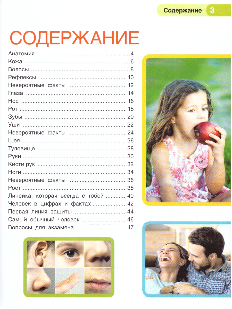 Обложка книги Энциклопедия.Тело человека. Как мы устроены. (А4 197х255мм) 48 стр.(Умка), Автор Рыклин М. А., издательство Умка                                               | купить в книжном магазине Рослит