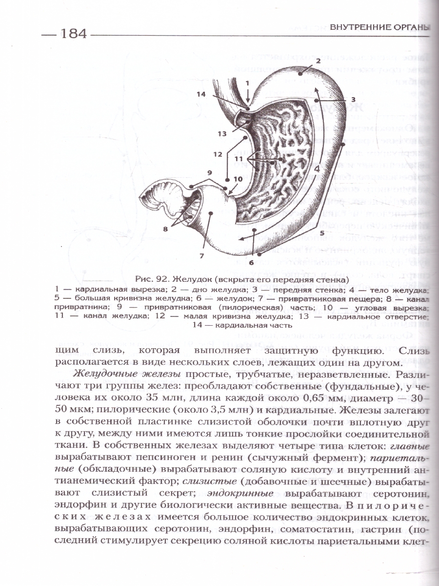 Обложка Атлас. Анатомия и физиология человека. Полное практическое пособие, издательство ЭКСМО | купить в книжном магазине Рослит