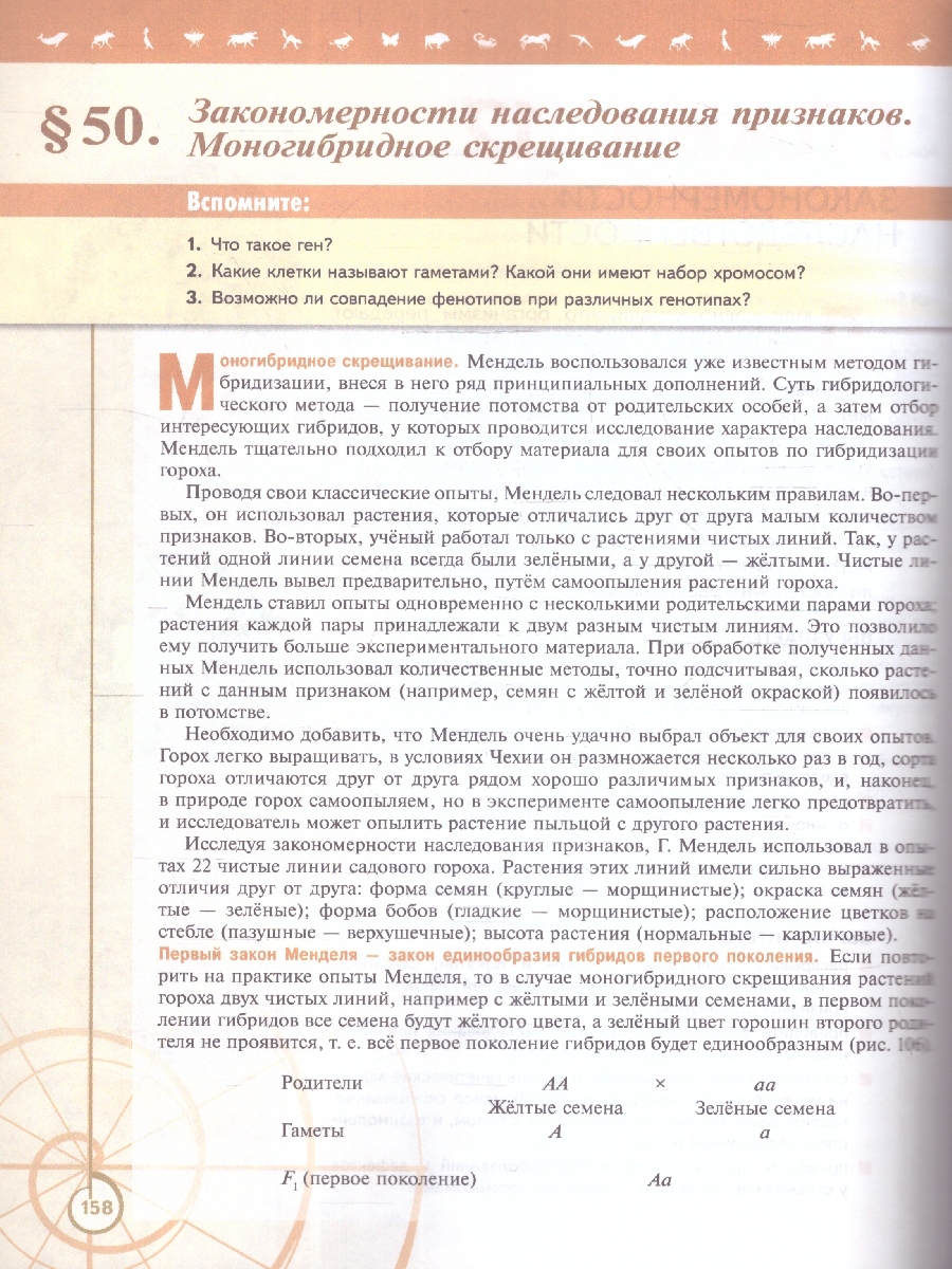 Обложка книги Биология 10 класс. Часть 2. Учебное пособие., Автор Пасечник В.В. Каменский А.А. Рубцов A.M., издательство Просвещение | купить в книжном магазине Рослит