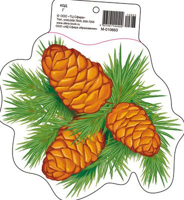 Обложка книги Мини открытка Шишки сосны М-10663 (190х160 мм) (Сфера), Автор М-10663, издательство Сфера | купить в книжном магазине Рослит