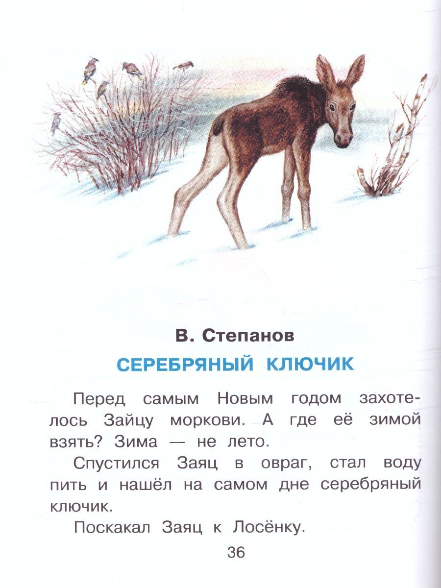 Обложка Сказки под ёлку. Для исполнения желаний /Сказки в помощь родителям, издательство АСТ | купить в книжном магазине Рослит