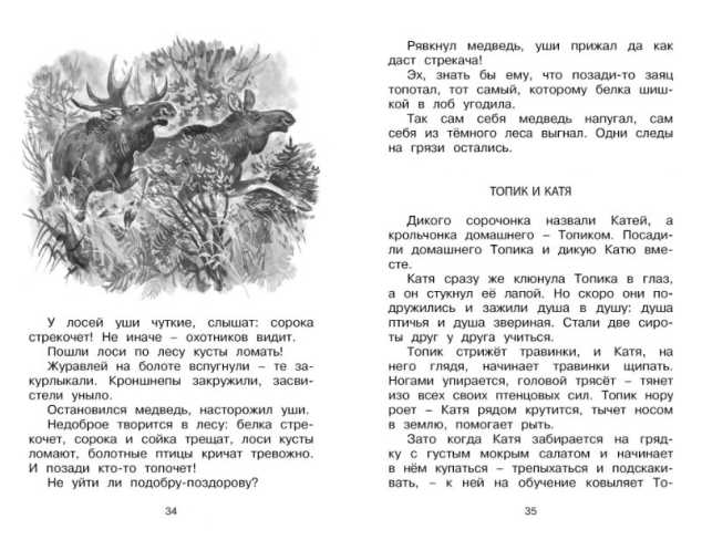 Обложка Лесные тайнички. Чтение - лучшее учение, издательство Махаон | купить в книжном магазине Рослит