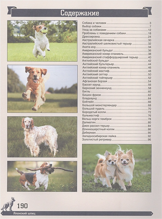 Обложка Большая энциклопедия. Собаки /Большая энциклопедия, издательство АСТ | купить в книжном магазине Рослит