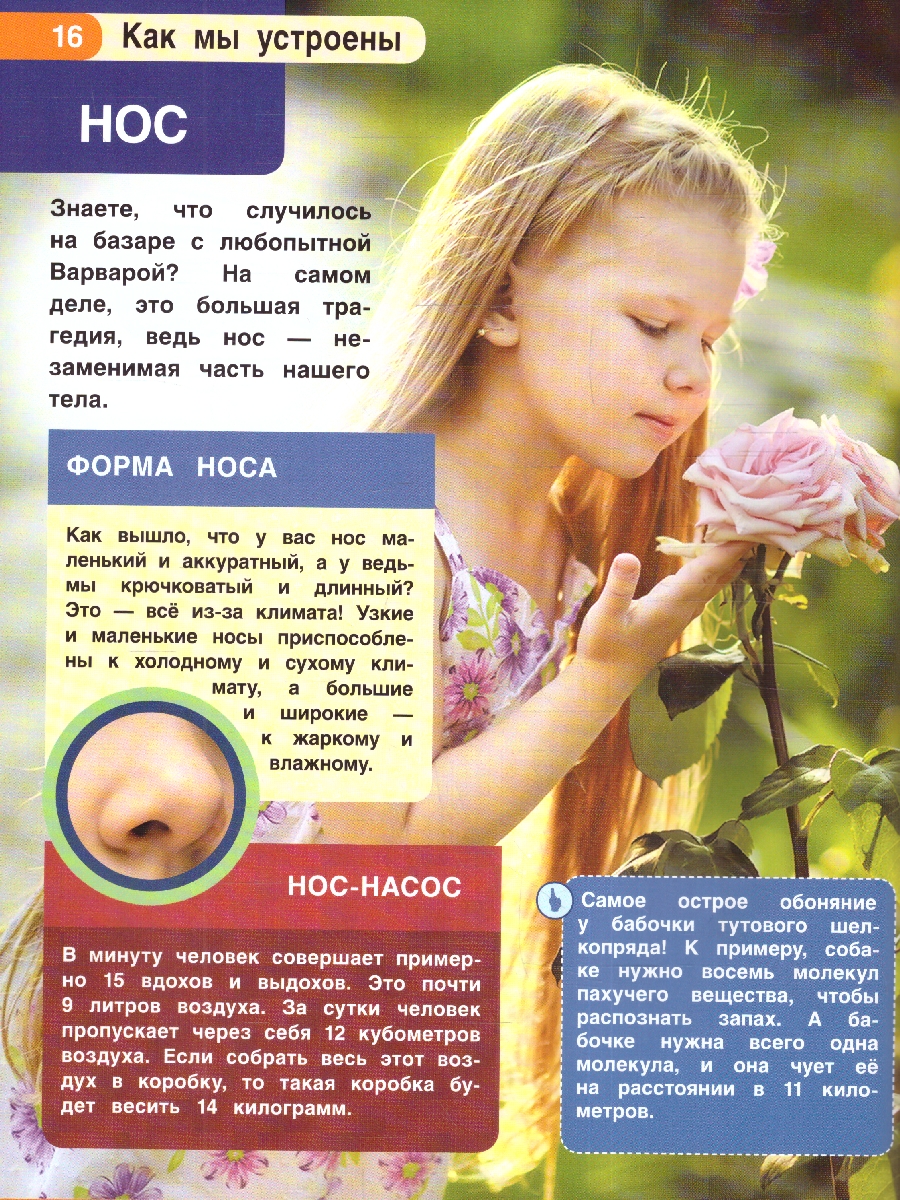 Обложка книги Энциклопедия.Тело человека. Как мы устроены. (А4 197х255мм) 48 стр.(Умка), Автор Рыклин М. А., издательство Умка                                               | купить в книжном магазине Рослит