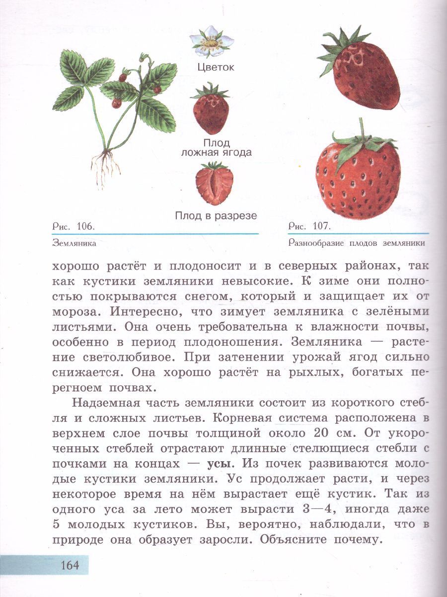 Обложка книги Биология 7 класс. Растения. Бактерии. Грибы. Учебник. Для обучающихся с интеллектуальными нарушениями, Автор Клепинина З.А., издательство Просвещение | купить в книжном магазине Рослит