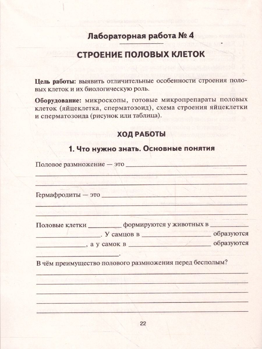 Обложка книги ОГЭ-2020. Информатика 20 тренировочных вариантов по новой демоверсии 2020 года, Автор Евич Л.Н., издательство ЛЕГИОН | купить в книжном магазине Рослит