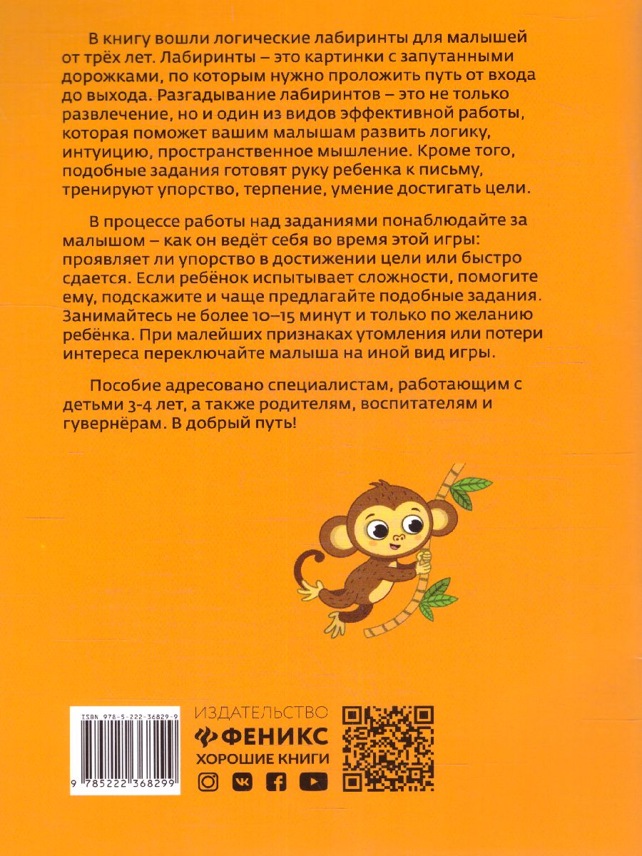 Обложка книги 33 логических лабиринта для умных малышей, Автор Заболотная Этери Николаевна, издательство Феникс ТД                                          | купить в книжном магазине Рослит