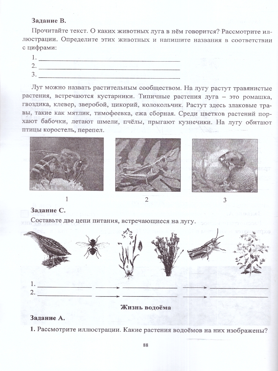 Обложка книги Окружающий мир 1-4 классы. Задания к урокам. Подготовка к ВПР, Автор Смирнова О. М., издательство Учитель | купить в книжном магазине Рослит