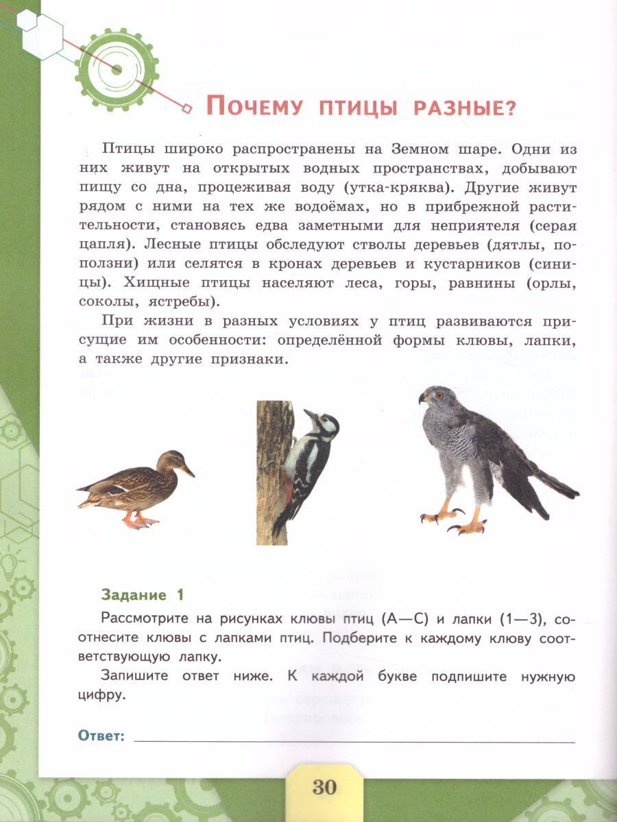 Обложка книги Естественнонаучная грамотность.Сборник эталонных заданий. Для учащихся 10-13 лет. Выпуск 1, Автор Пентин А.Ю., издательство Просвещение | купить в книжном магазине Рослит