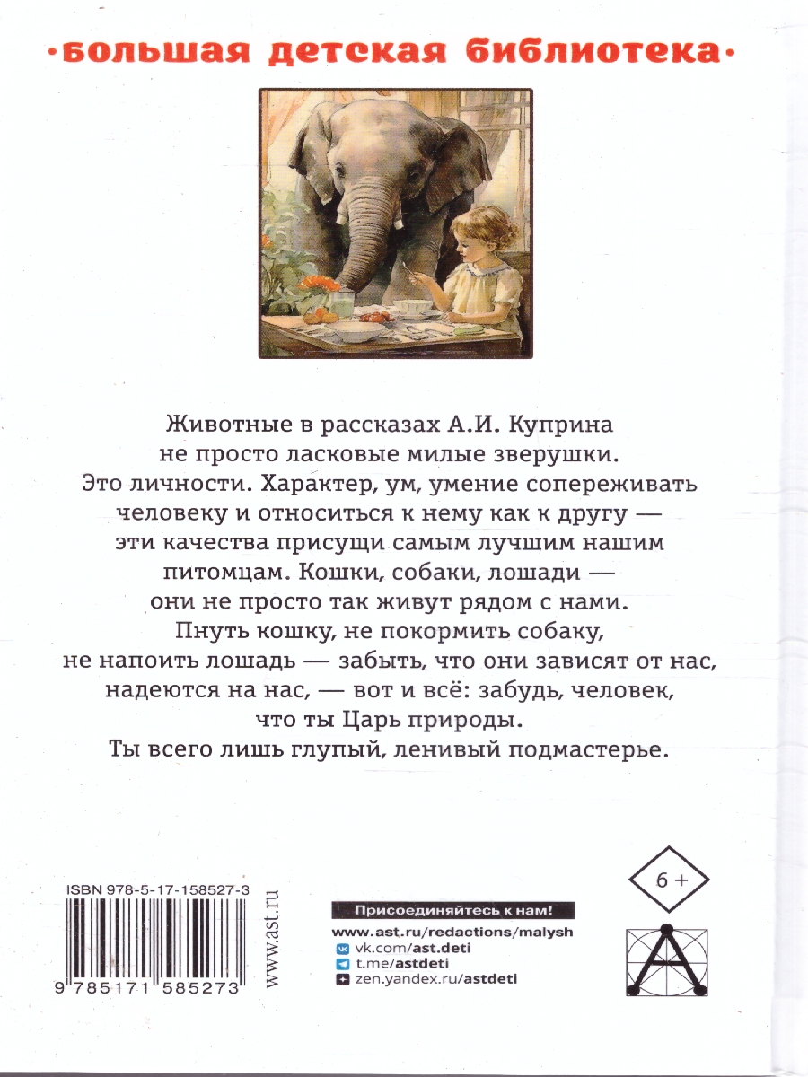 Обложка книги Слон. Рассказы, Автор Куприн А.И., издательство АСТ | купить в книжном магазине Рослит