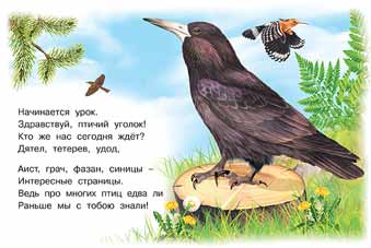 Обложка Знакомимся с животными. Лесные птицы, издательство Фламинго | купить в книжном магазине Рослит