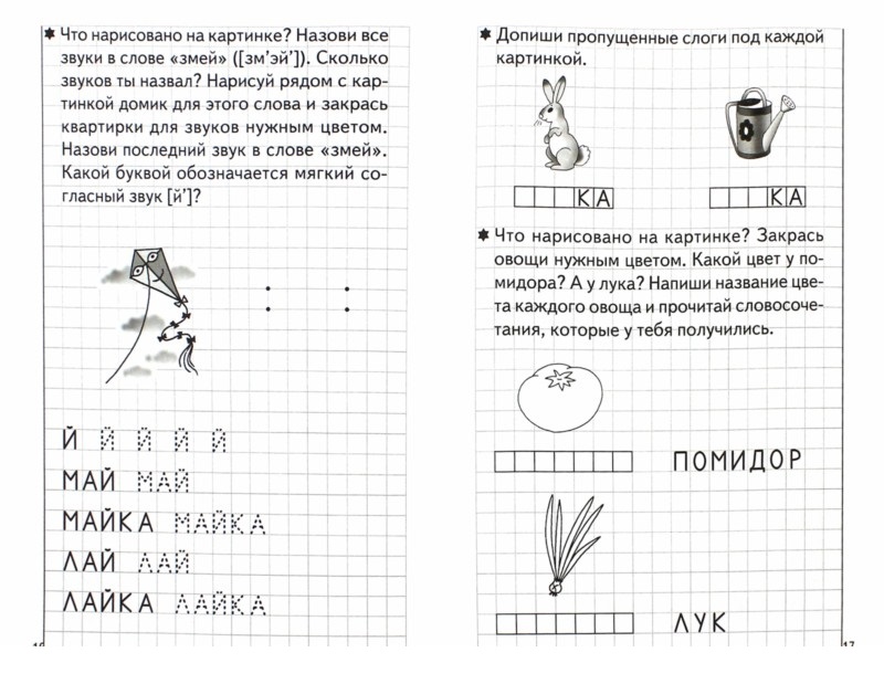 Обложка книги Развиваем навыки чтения и грамотного письма. Рабочая тетрадь для детей 5-6 лет. Часть 2, Автор Бортникова Е.Ф., издательство Литур | купить в книжном магазине Рослит