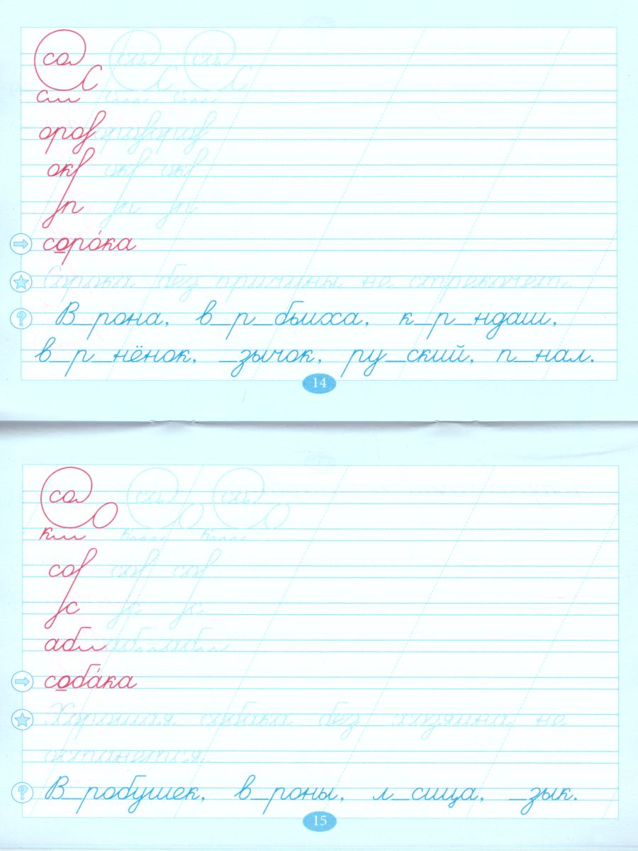 Обложка книги Чистописание и словарные слова 1 класс. По программе Школа России, Автор Тарасова Л.Е., издательство 5 за знания | купить в книжном магазине Рослит