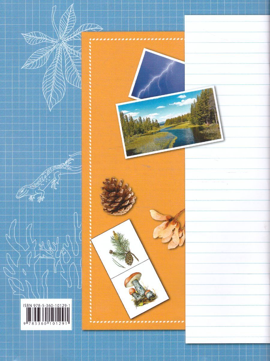 Обложка книги Окружающий мир 3 класс. Тетрадь для проверочных работ № 1. ФГОС, Автор Виноградова Н.Ф. Калинова Г.С., издательство Просвещение | купить в книжном магазине Рослит