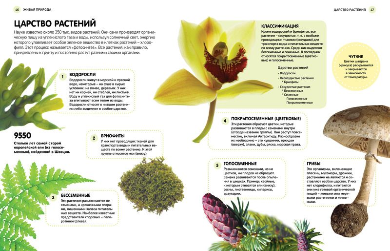 Обложка Детям обо всем на свете, издательство Махаон | купить в книжном магазине Рослит
