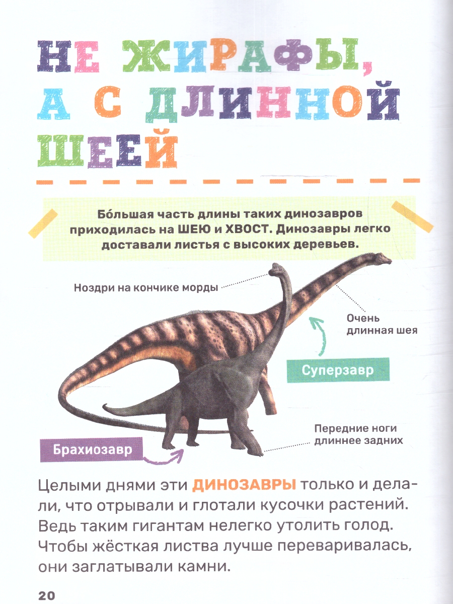 Обложка книги Динозавры. Первая энциклопедия малыша/Первая энциклопедия малыша(Росмэн), Автор Клюшник Л. В., издательство РОСМЭН | купить в книжном магазине Рослит