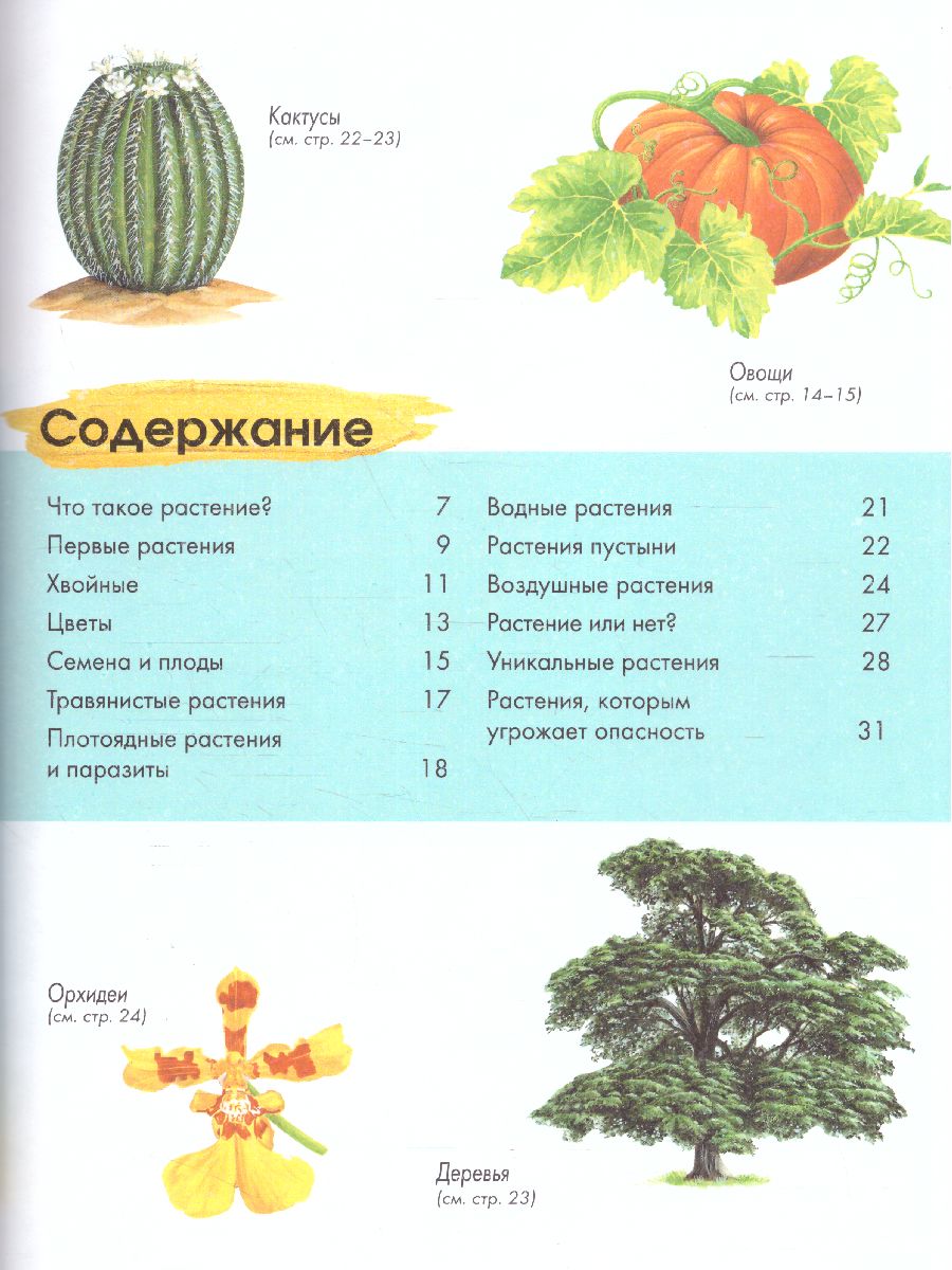 Обложка Растения /ДетЭнц (best), издательство АСТ | купить в книжном магазине Рослит