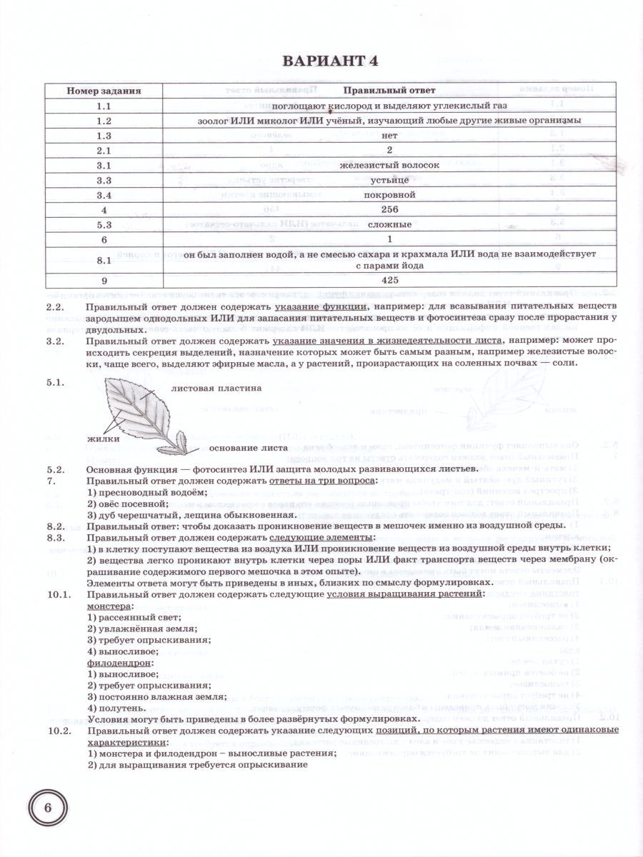 Впр по биологии 6 класс с ответами 1 вариант образец