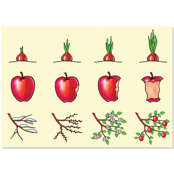 Обложка книги Логические цепочки, Автор , издательство Весна-Дизайн | купить в книжном магазине Рослит