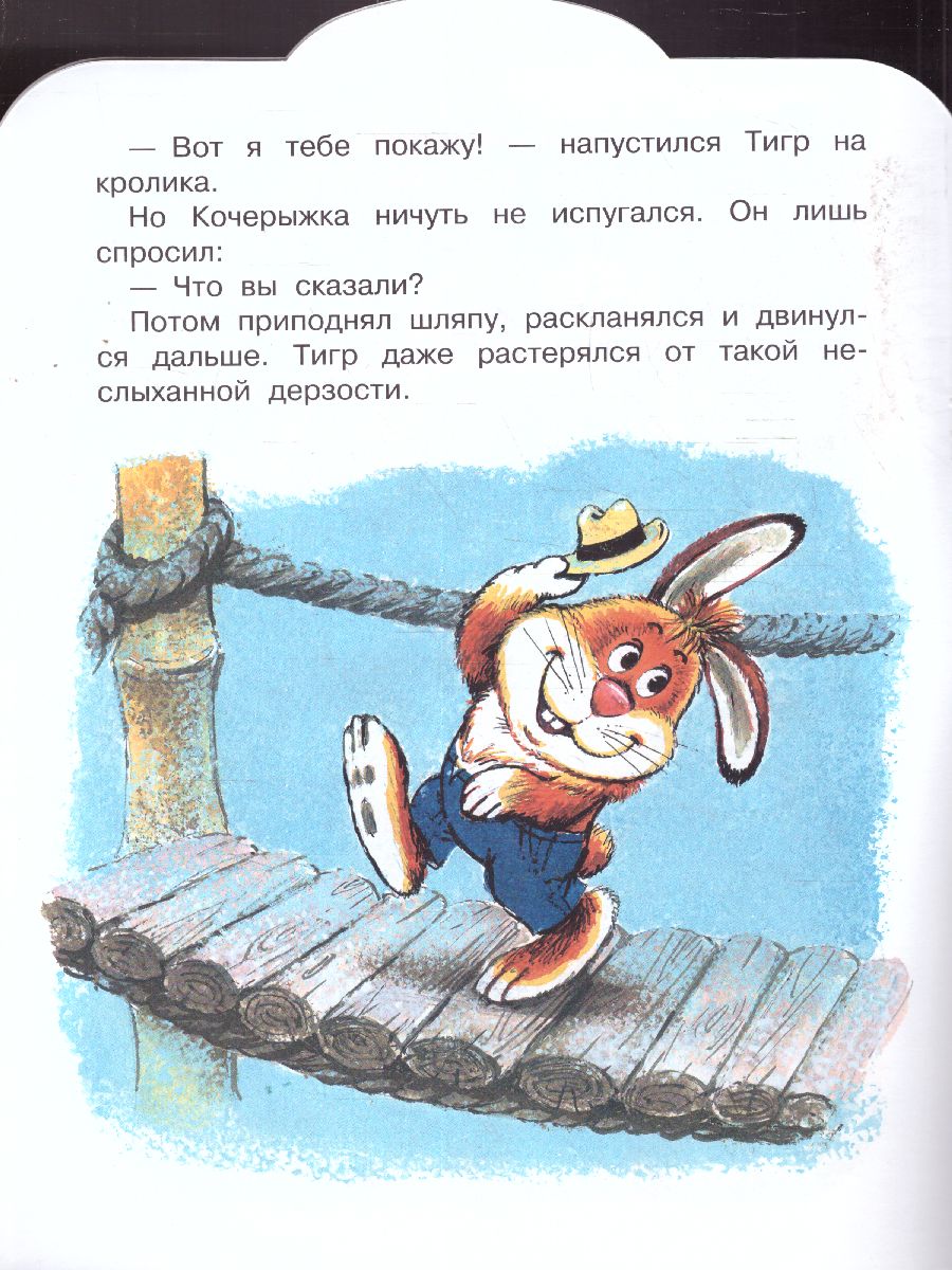 Обложка Пляцковский М.С. Ромашки в январе /Малыш, читай!, издательство АСТ | купить в книжном магазине Рослит