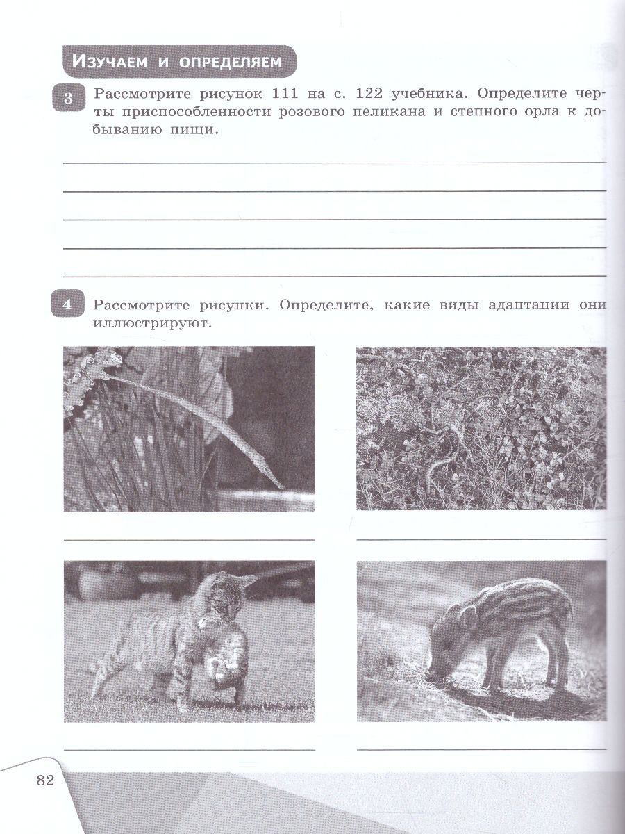 Обложка книги Биология. 9 класс. Рабочая тетрадь, Автор Сивоглазов В.И., издательство Просвещение | купить в книжном магазине Рослит