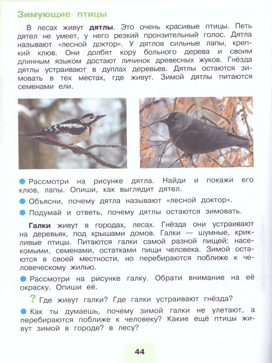 Обложка книги Мир природы и человека 3 класс. Учебник в 2-х частях. Часть 2. (для обучающихся с интеллектуальными нарушениями), Автор Матвеева Н.Б. Ярочкина И.А. Попова М.А., издательство Просвещение | купить в книжном магазине Рослит