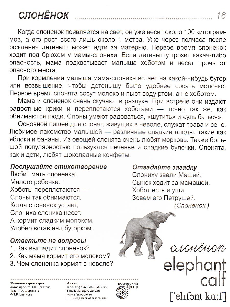 Обложка книги Демонстрационные картинки СУПЕР. Животные жарких стран. 16 демонстрационных картинок с текстом 173х220 мм, Автор , издательство Сфера | купить в книжном магазине Рослит