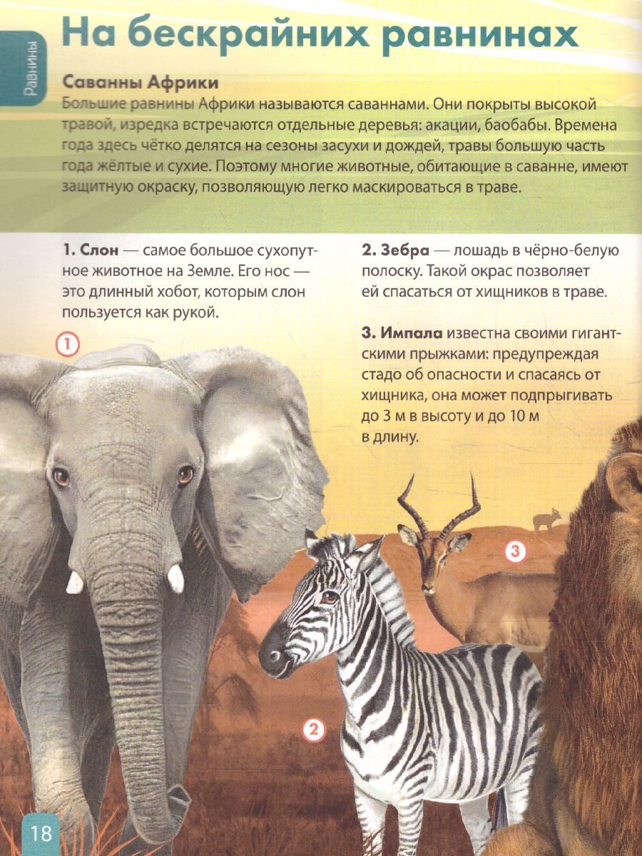 Обложка Детская энциклопедия "Животные", издательство Буква-Ленд                                         | купить в книжном магазине Рослит