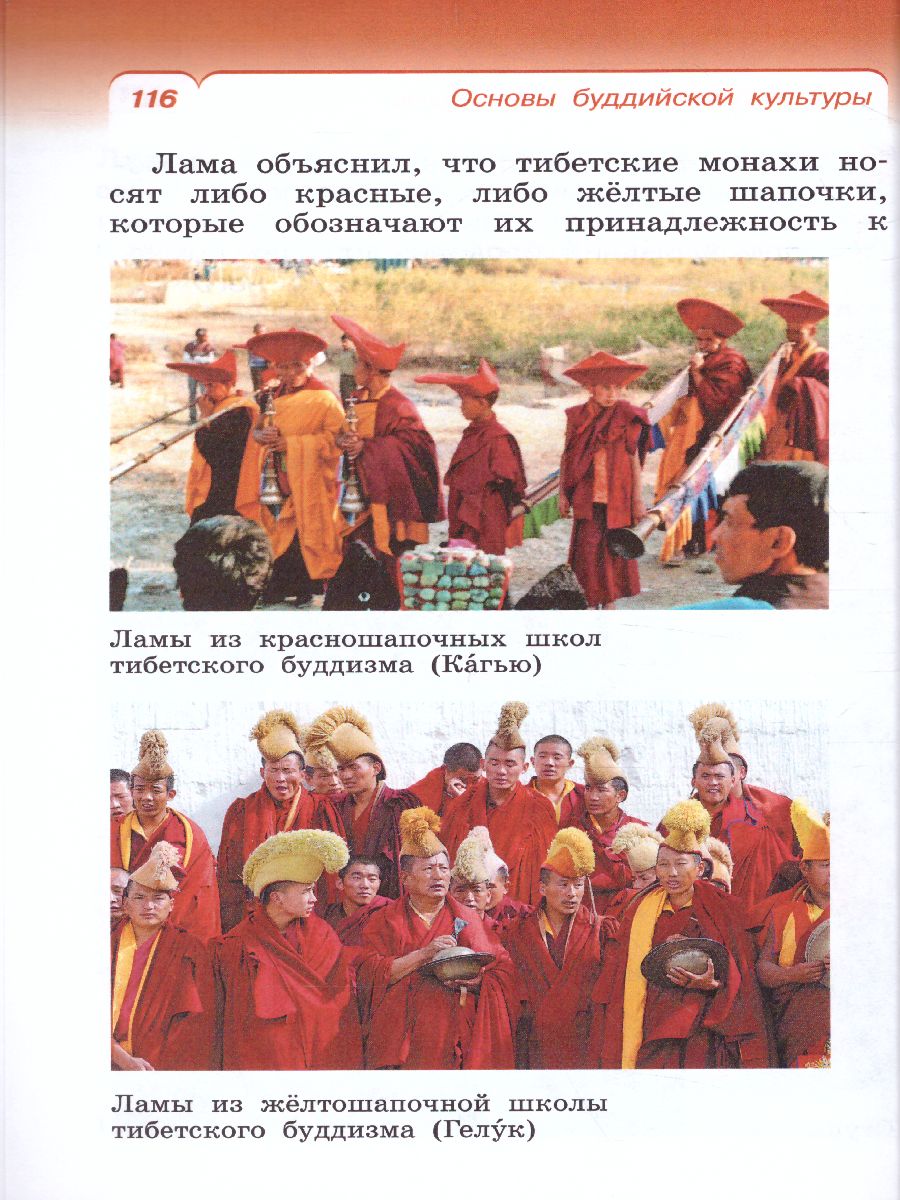 Обложка книги Основы буддийской культуры 4 класс. Учебник, Автор Китинов Б.У. Савченко К.В. Якушкина М.С., издательство Просвещение/Союз                                   | купить в книжном магазине Рослит