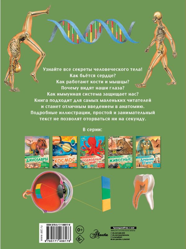 Обложка Тело человека, издательство АСТ | купить в книжном магазине Рослит