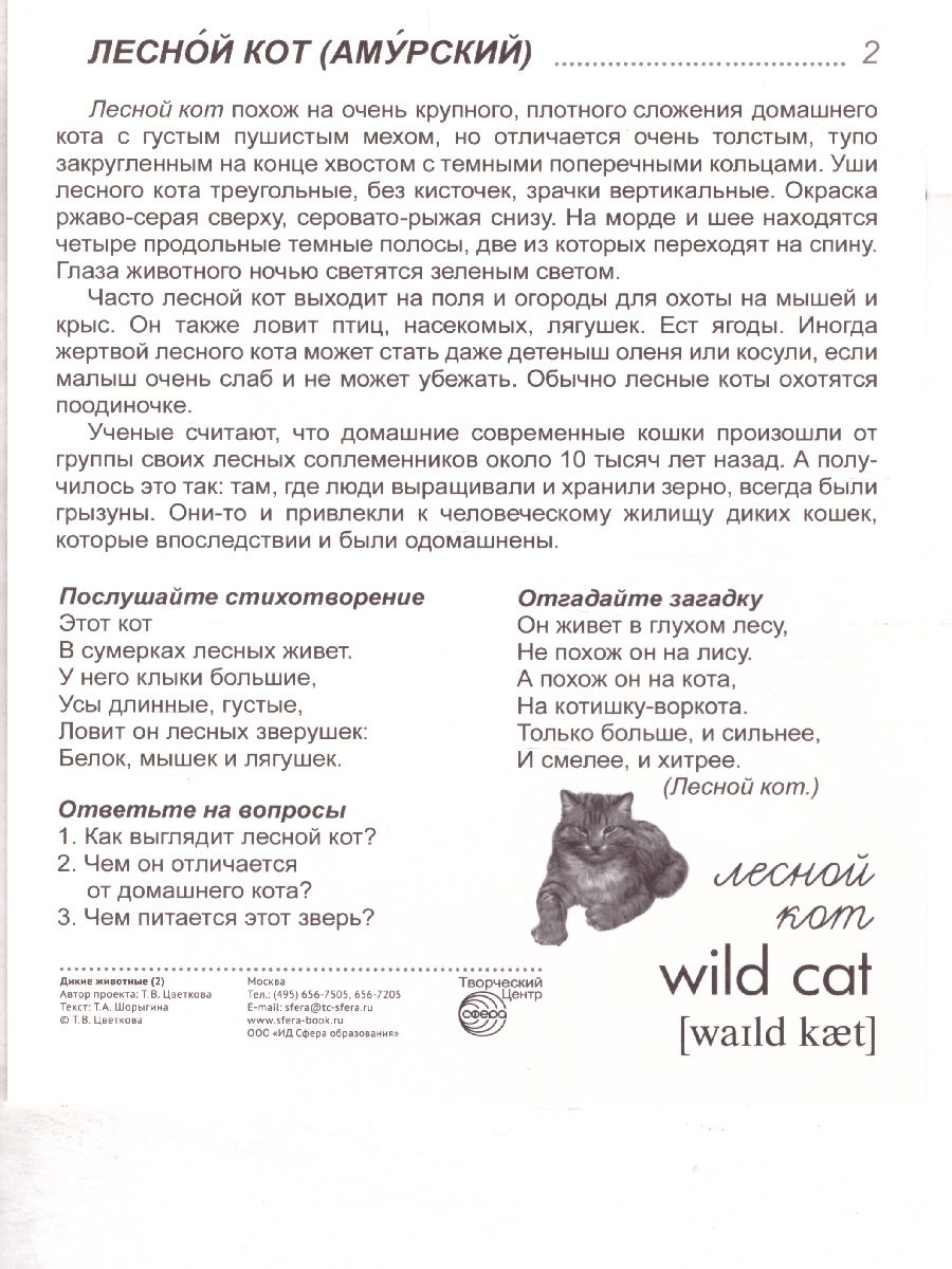 Обложка книги Демонстрационные картинки СУПЕР Дикие животные - 2. 16 демонстрационных картинок с текстом 173х220 мм, Автор , издательство Сфера | купить в книжном магазине Рослит