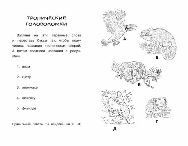 Обложка Прятки в джунглях / Чудо-щенок. Бр-рызг, издательство Махаон | купить в книжном магазине Рослит