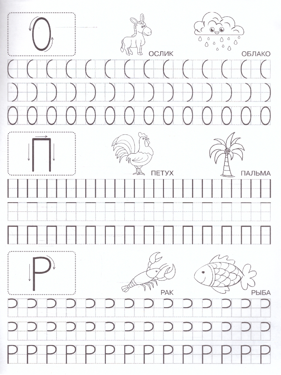 Обложка книги Прозрачные прописи. Учимся писать печатные буквы. 5+. М. А. Жукова. 48 стр. (Умка), Автор Жукова М. А., издательство Умка                                               | купить в книжном магазине Рослит