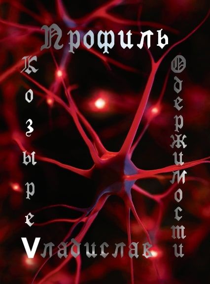 Обложка книги Профиль одержимости. Философский роман, Автор В.Козырев, издательство Центр Культурного творчества                       | купить в книжном магазине Рослит