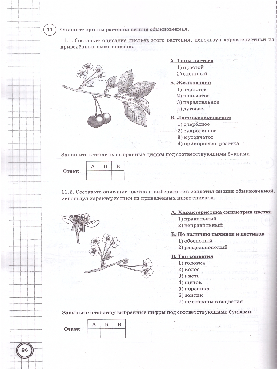 Обложка книги ВПР Биология 6 класс. Типовые задания. 10 вариантов, Автор Богданов Н. А., издательство Экзамен | купить в книжном магазине Рослит