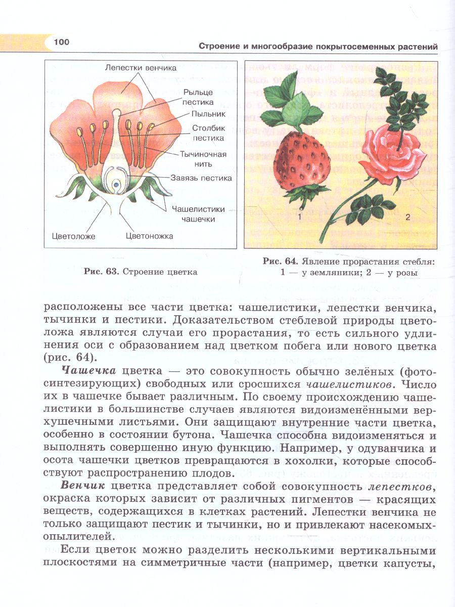 Обложка книги Биология 5 класс.  Живые организмы. Растения. Учебник, Автор Трайтак Д.И. Трайтак Н.Д., издательство Мнемозина | купить в книжном магазине Рослит