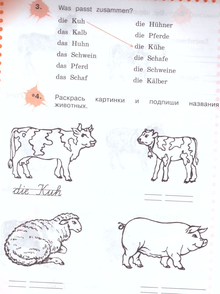 Обложка книги Немецкий язык 4 класс. Рабочая тетрадь в 2-х частях. Часть А. ФГОС, Автор Бим И.Л. Рыжова Л.И., издательство Просвещение | купить в книжном магазине Рослит