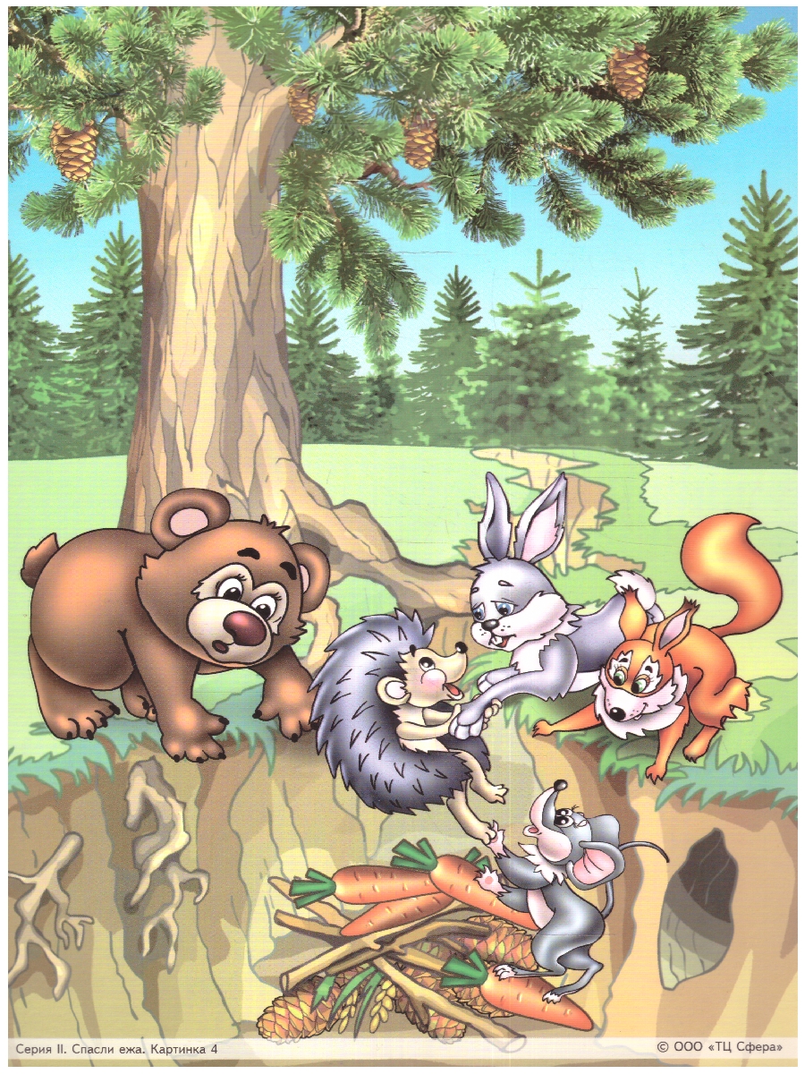 Обложка книги Беседы по картинкам. Посмотри и расскажи Папка 1. Шишка, Спасли ежа. 8 картинок. ФГОС ДО, Автор Ушакова О.С., издательство Сфера | купить в книжном магазине Рослит