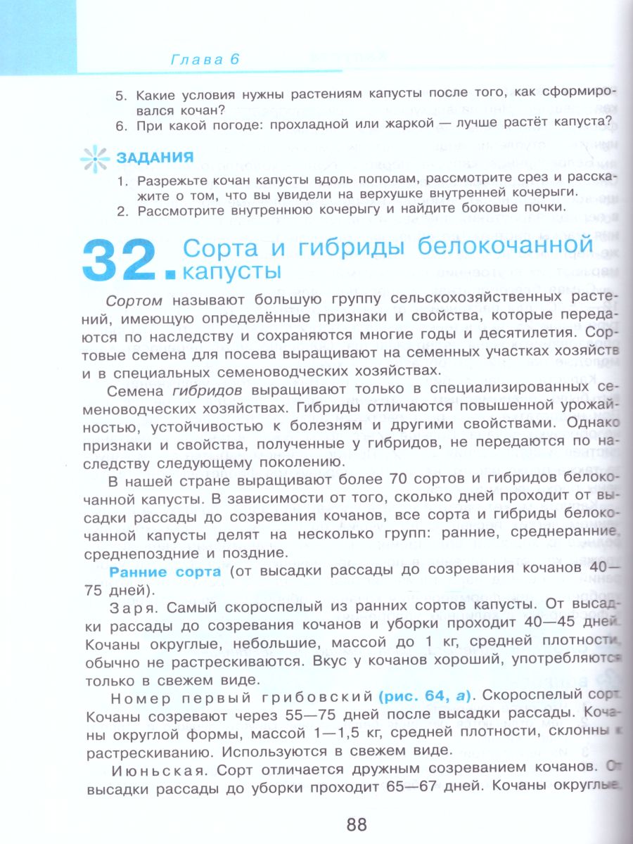 Обложка книги Технология 7 класс. Сельскохозяйственный труд. Учебник. Для специальных (коррекционных) образовательных учреждений VIII вида, Автор Ковалёва Е.А., издательство Просвещение | купить в книжном магазине Рослит